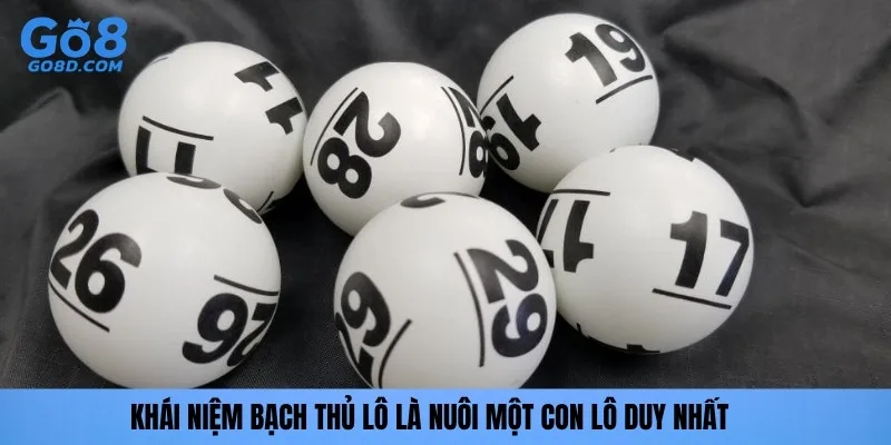 Khái niệm bạch thủ lô là nuôi một con lô duy nhất